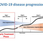 Focus on the early treatment phase of COVID-19 disease