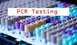 PCR Testing