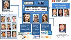 Amazing Polly | Totality of Evidence