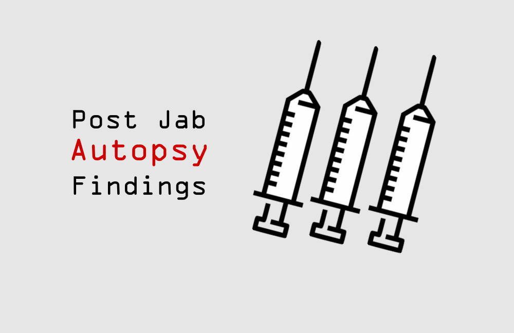 Post-jab autopsy findings