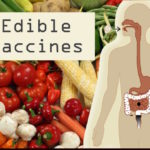 Edible Vaccines