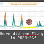 Where did the flu go in 2020-21?