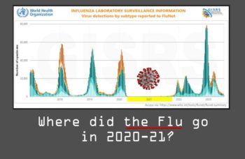 Where did the flu go in 2020-21?