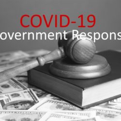 Inquiry into Government Response to COVID-19