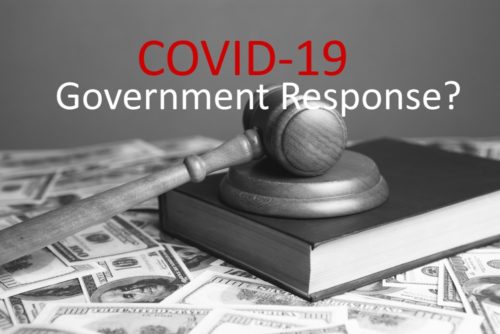 Inquiry into Government Response to COVID-19