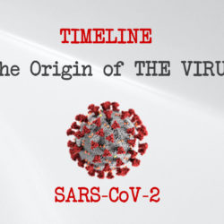 The Origine of The Virus SARS-C0V-2