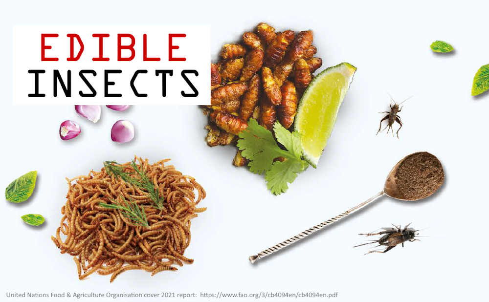 Edible Insects (and Lab Grown Meat) | Totality of Evidence