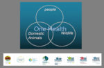 One World, One Health