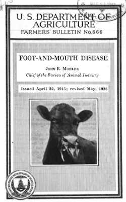 Foot and Mouth Disease 1908
