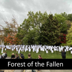 Forest of the Fallen