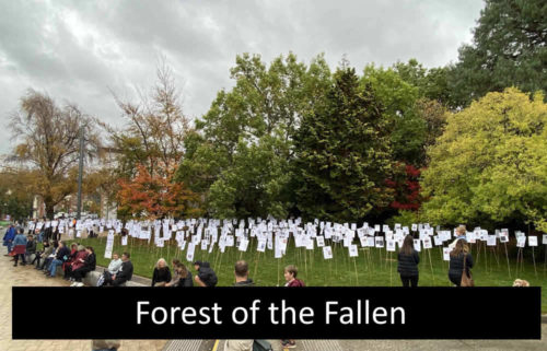 Forest of the Fallen