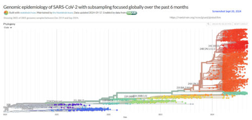 Snapshot of SARS-CoV-2 genome Dec 2019 to Sep 20, 2024