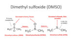 DMSO