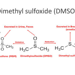 DMSO