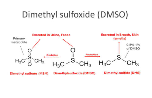 DMSO