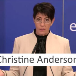 Christine Anderson MEP