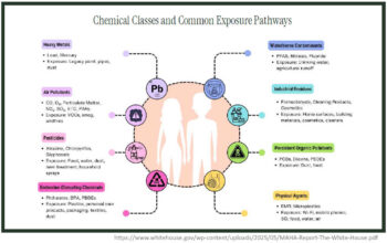 MAHA Report "Chemical Classes and Common Exposure Pathways"